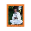 Spiritual Inspirations - Yogi Baba Hari Dass - Premium Matte Vertical Posters - US Print