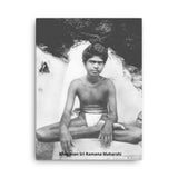 Canvas - Bhagavan Sri Ramana Maharshi - CV-RM-2001 IMAGES OF GOD