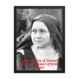 Framed poster - Saint Thérèse of Lisieux - The Little Flower of Jesus - Catholic - France IMAGES OF GOD