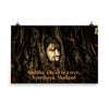 Poster - Buddha`s head in a tree, Ayutthaya, Thailand IMAGES OF GOD