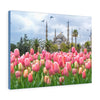 Printed in USA - Canvas Gallery Wraps - The Blue Mosque, Sultanahmet Camii with pink tulips, Istanbul, Turkey. ROYALTY-FREE STOCK PHOTO The Blue Mosque, Sultanahmet Camii with pink tulips, Istanbul, Turkey - Malaysia - Islam