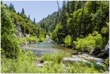 GELATO GLOBAL PRINT - Landscape Aluminum Print - Redwood National & St. Parks - Redwood Creek - California USA