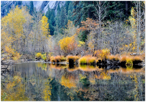 GELATO GLOBAL PRINT - Landscape Aluminum Print - Nature valley  - Yosemite National Park in CA USA