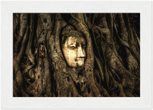 Gelato Global Print - Premium Semi-Glossy Paper Wooden Framed Poster - Trees show how ancient this Thai temple in Jungle is - Buddhism - Asia