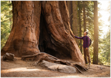 GELATO GLOBAL PRINT - Landscape Aluminum Print - Hiker in Sequoia National Park (next to Yosemite) in CA USA