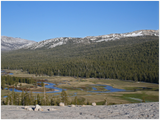 GELATO GLOBAL PRINT - Landscape Aluminum Print -  Tuolumne Meadows from Pot-hole Dome, Tioga pass - Yosemite National Park in CA USA