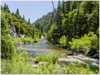 GELATO GLOBAL PRINT - Landscape Aluminum Print - Redwood National & St. Parks - Redwood Creek - California USA
