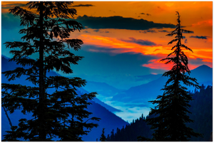 GELATO GLOBAL PRINT - Mountains and valley view before the sunrise through the trees at Cayuse Pass, Mt. Rainier National Park, WA USA