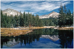 GELATO GLOBAL PRINT - Landscape Aluminum Print - Mt.Gibbs and Mt.Dana  - Yosemite National Park in CA USA