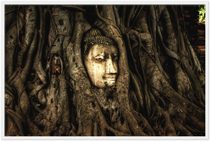 Gelato Global Print - Premium Semi-Glossy Paper Wooden Framed Poster - Trees show how ancient this Thai temple in Jungle is - Buddhism - Asia