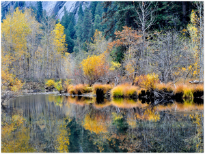 GELATO GLOBAL PRINT - Landscape Aluminum Print - Nature valley  - Yosemite National Park in CA USA